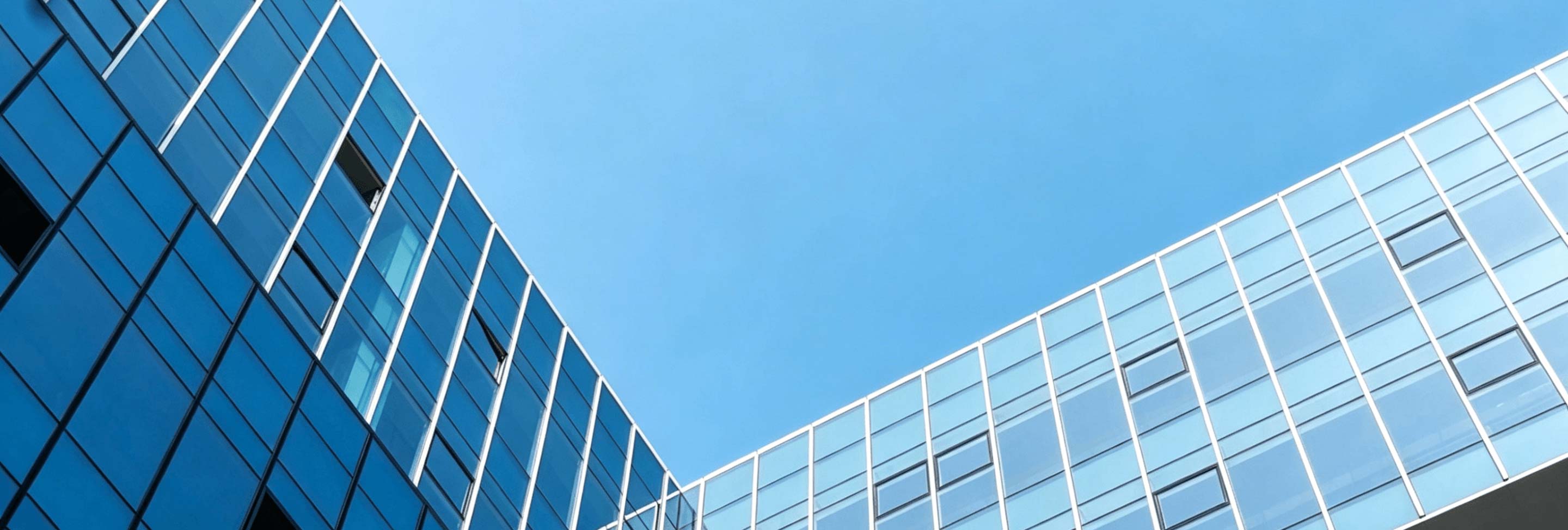 banner-pic